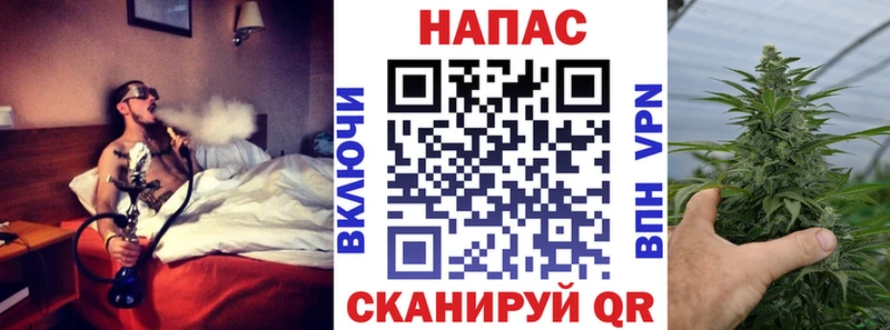 закладка  Чернушка  блэк спрут ТОР  Бошки марихуана план 